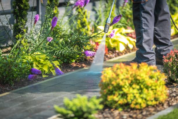 Why Choose Our Pressure Washing Services in New Jersey